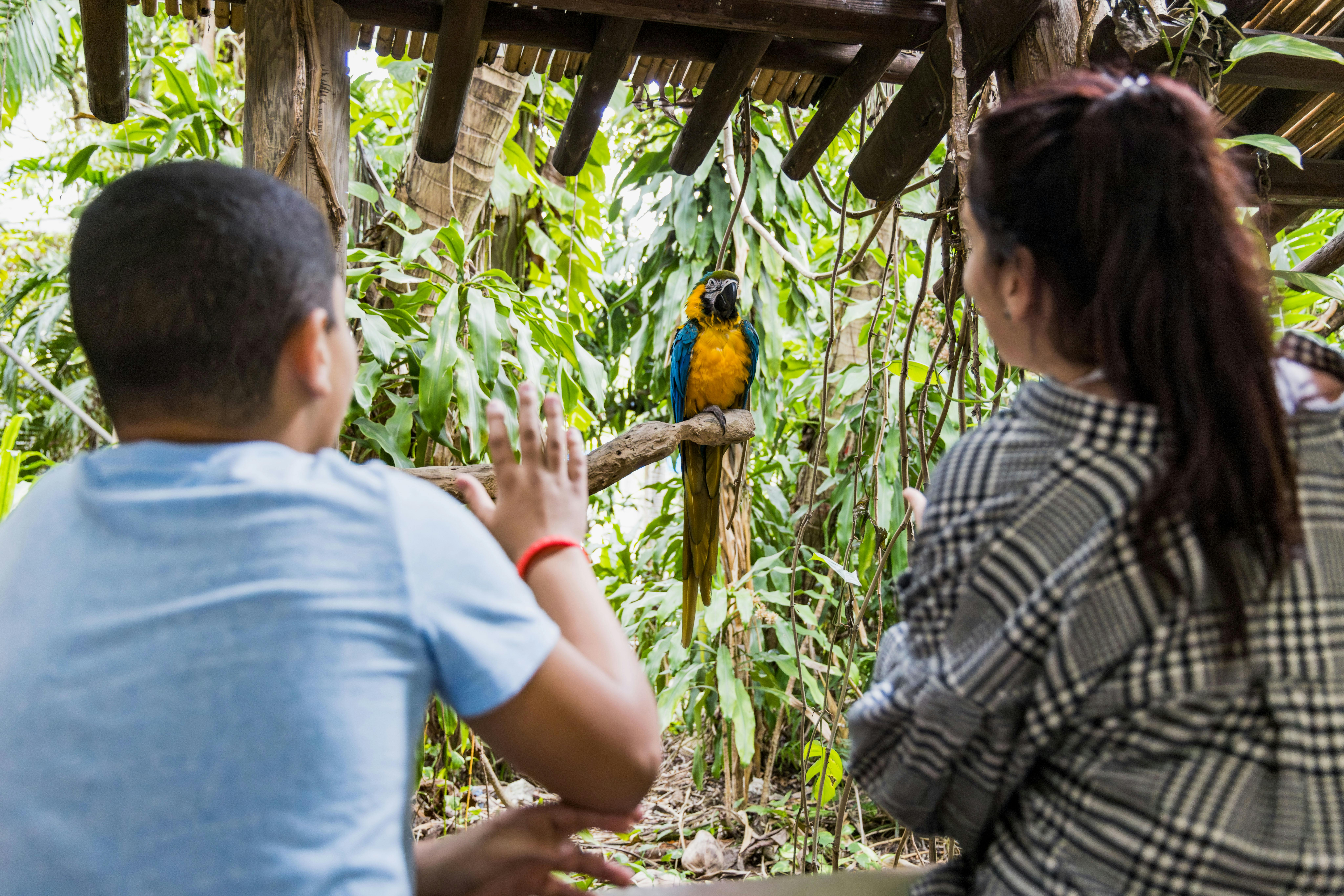 Jungle Island: Entry Ticket - Photo 1 of 8